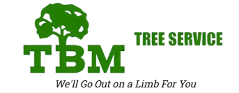 TBM Tree Service - We'll Go Out on a Limb For You